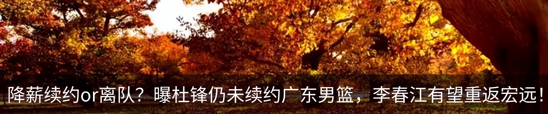 资讯动态